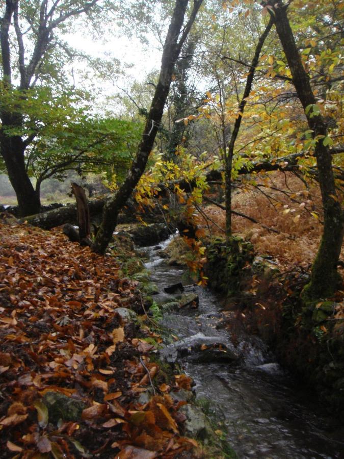 Chez Louise: Onde A Serra Beija O Ceu Lousã Εξωτερικό φωτογραφία