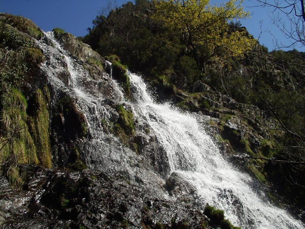 Chez Louise: Onde A Serra Beija O Ceu Lousã Εξωτερικό φωτογραφία