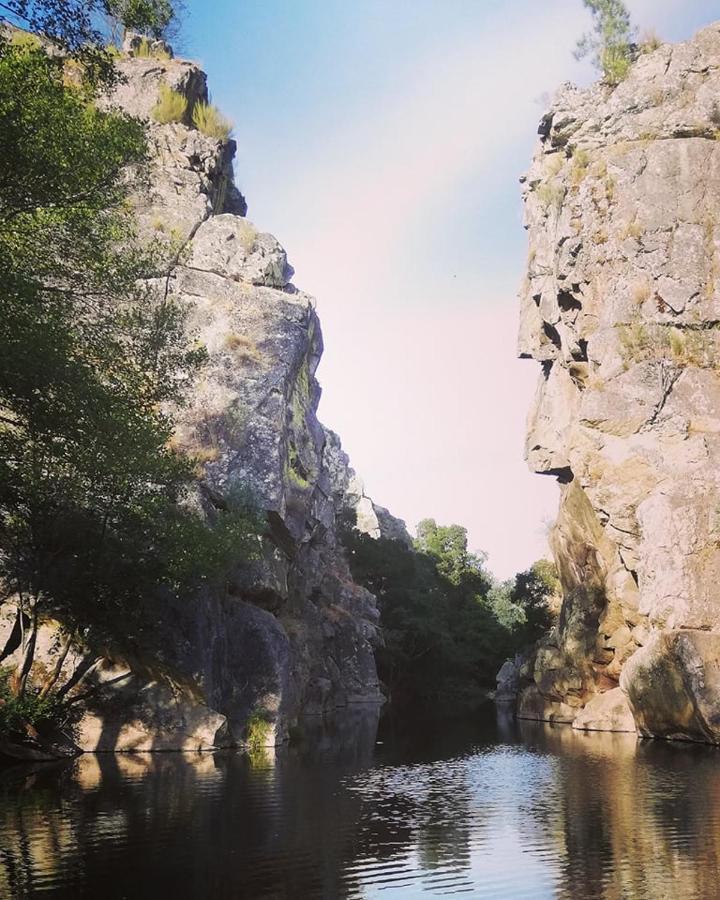 Chez Louise: Onde A Serra Beija O Ceu Lousã Εξωτερικό φωτογραφία