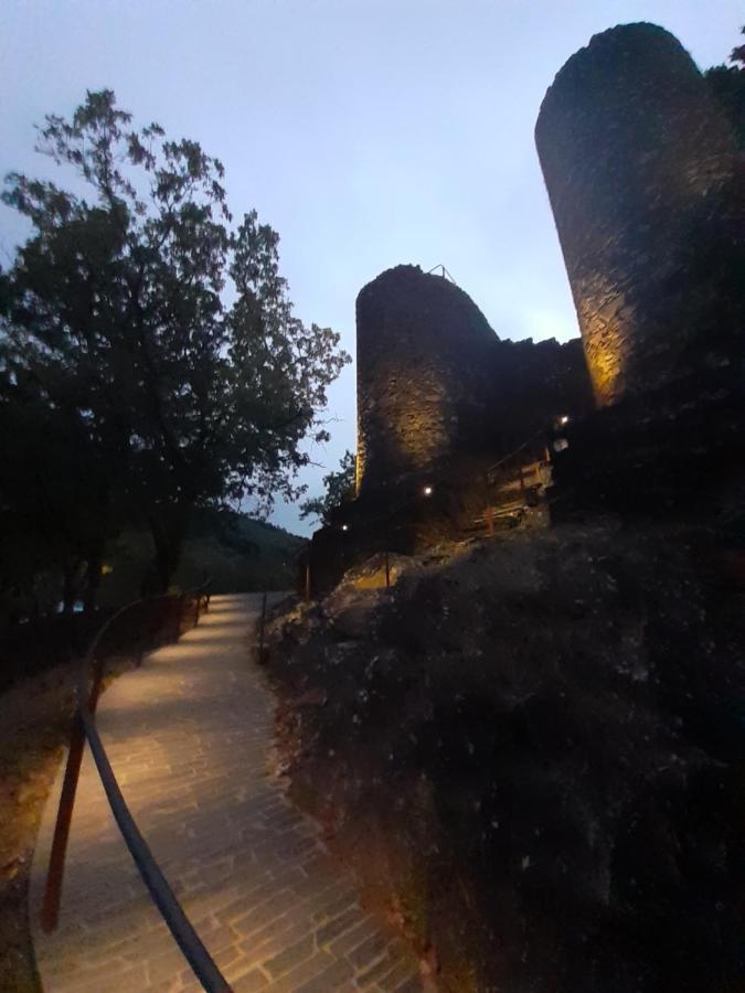 Chez Louise: Onde A Serra Beija O Ceu Lousã Εξωτερικό φωτογραφία