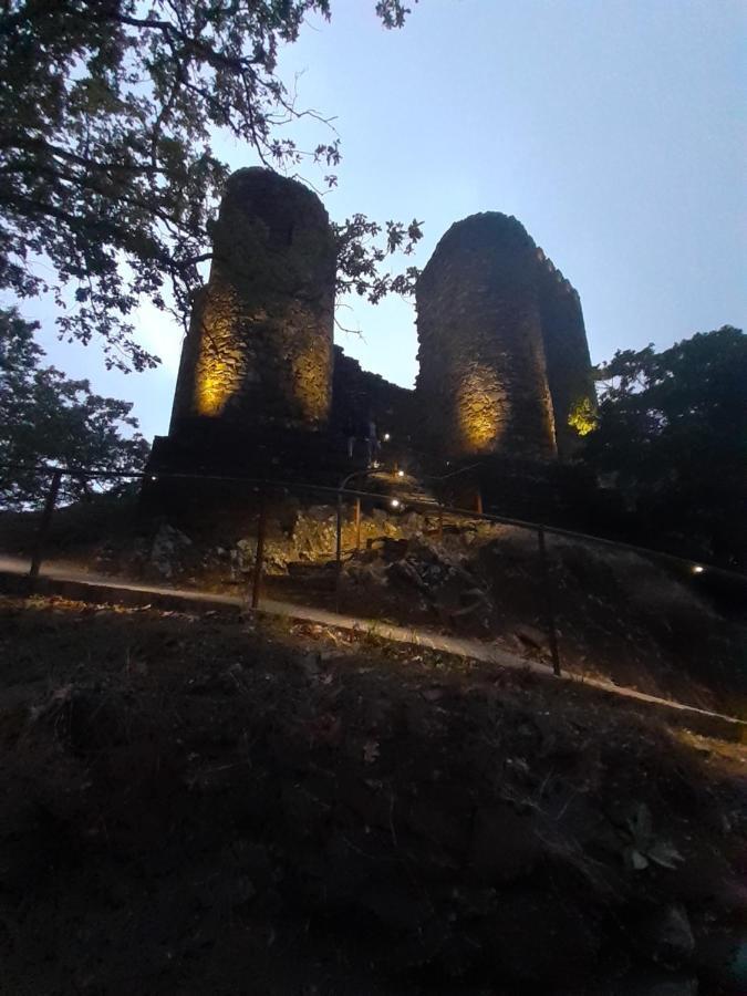 Chez Louise: Onde A Serra Beija O Ceu Lousã Εξωτερικό φωτογραφία